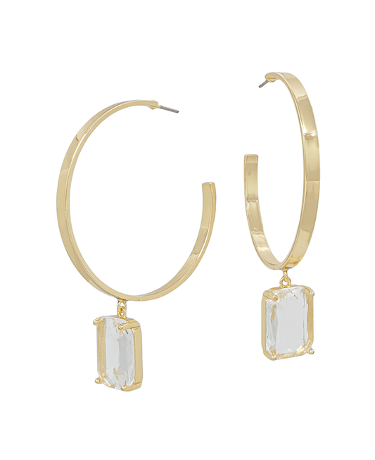 Metal Hoop w/ Crystal Drop Earring