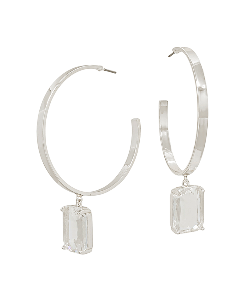 Metal Hoop w/ Crystal Drop Earring