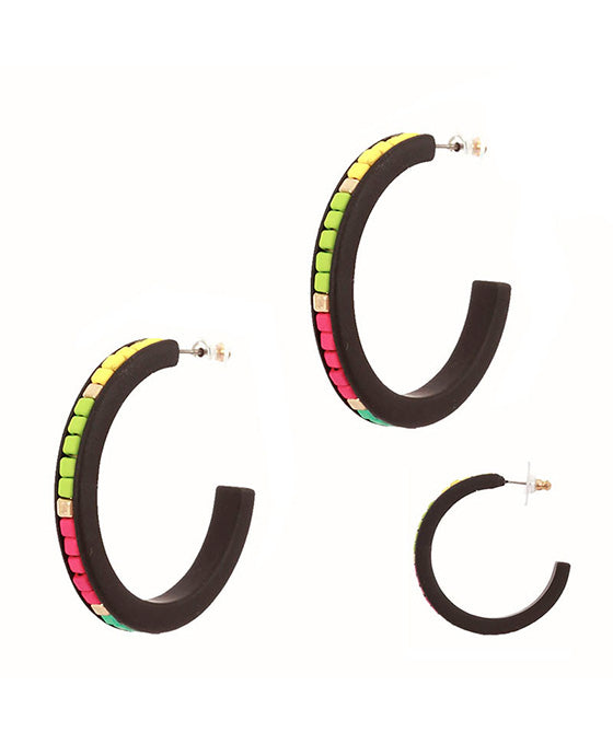 Metal Color Coating Tropical Hoop Earring