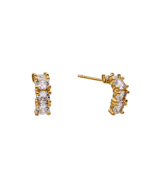 14K Gold Dipped CZ Pave Hoop Earring