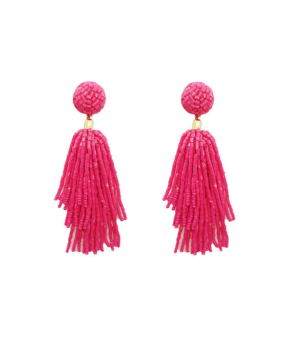 Seed Beaded Tassel Earring